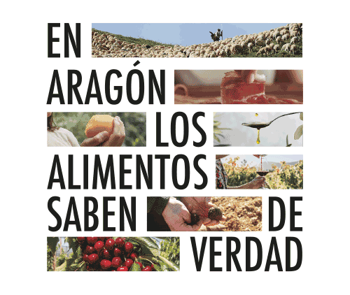 aragon-alimentos
